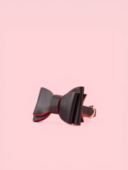 Set BDSM Elegant in Forma Papion image 4