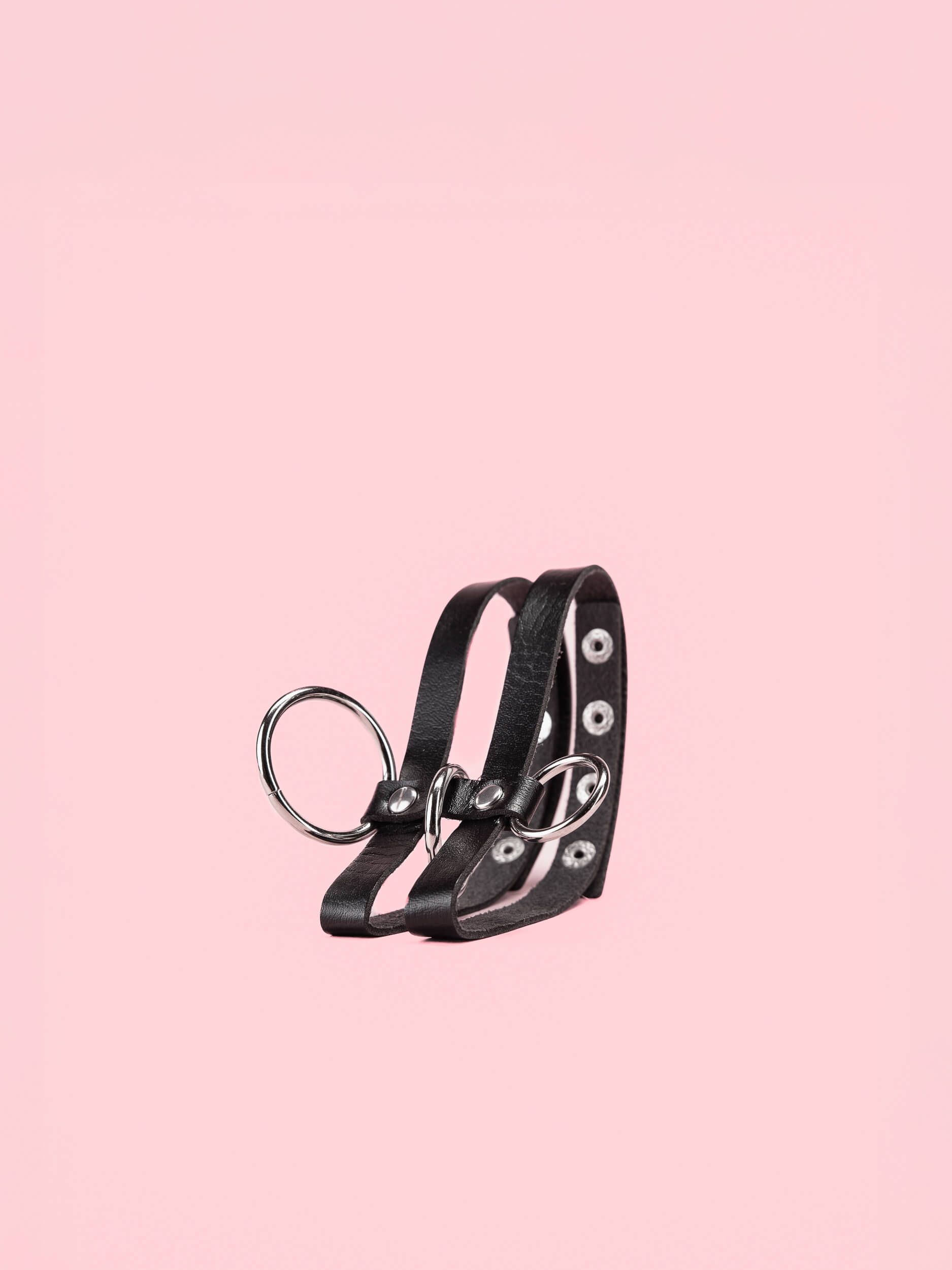 Choker Dublu cu Inele image 1