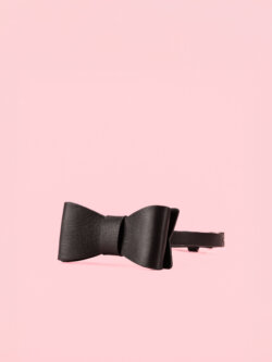 Choker Elegant in Forma de Papion thumbnail image
