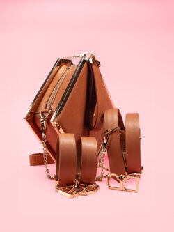 Lockink - Set BDSM Luxury Golden Leather thumbnail image 