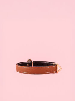 Lockink - Choker Premium din Piele image 1
