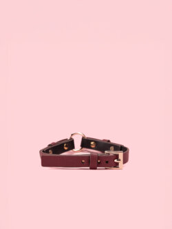 Choker Simplu din Piele cu Model Crocodil image 1