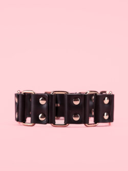 Golden Bondage Collar cu Lesa thumbnail image