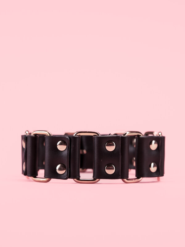 Golden Bondage Collar cu Lesa