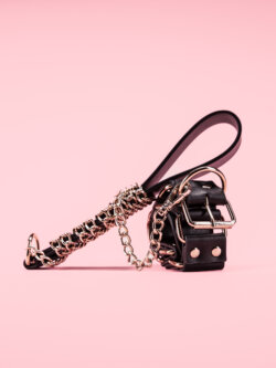 Golden Bondage Collar cu Lesa image 3