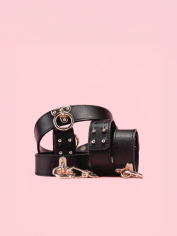 Cat's Jewel - Set BDSM Premium image 3