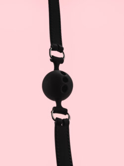 Gag Ball Simplu din Piele image 3